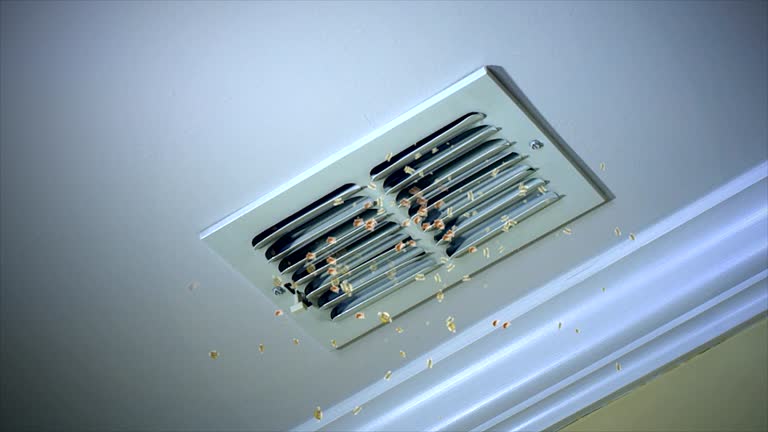 Best Affordable HVAC Duct Cleaning  in North Fork, AZ