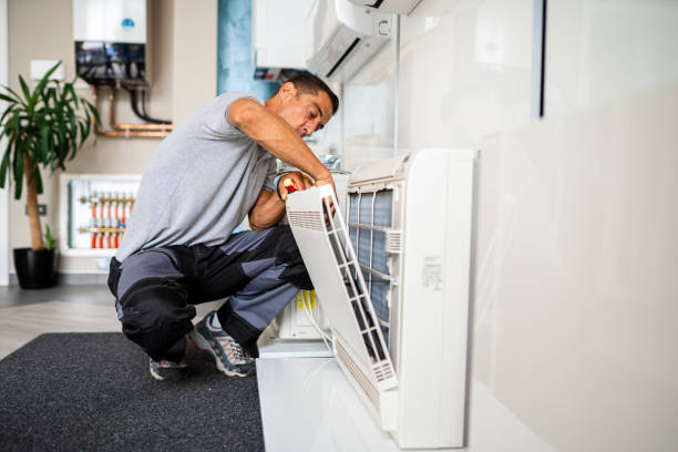 Best Professional Duct Cleaning Services  in North Fork, AZ