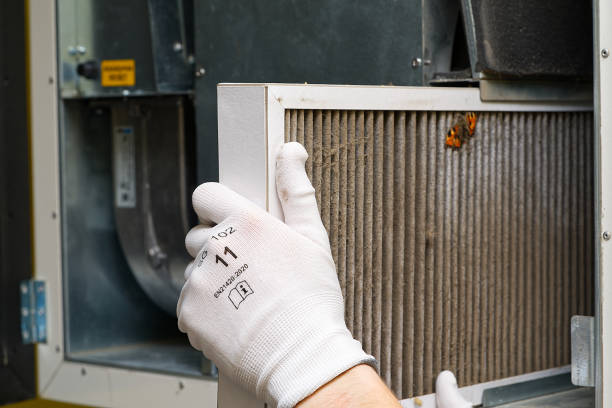 Best Commercial Air Duct Cleaning  in North Fork, AZ